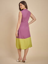 Women Purple & Green Colourblocked Shirt Dress